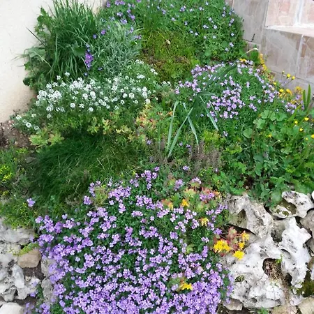 Διαμέρισμα Les Roses Multicolores Du 47 *