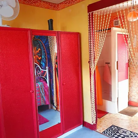 Les Roses Multicolores Du 47 *