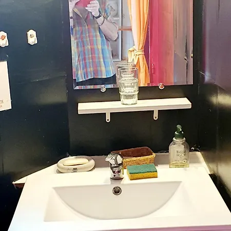 Les Roses Multicolores Du 47 *