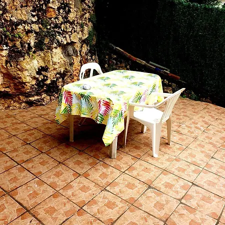 Les Roses Multicolores Du 47 *