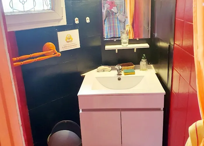 Les Roses Multicolores Du 47 Lejlighed Fumel